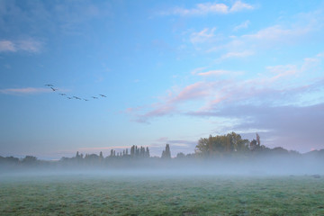 Misty Autumn Mornings