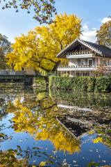 Petrihaus in Frankfurt - Rödelheim