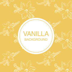 Vanilla flower sketch on light-yellow background square composition