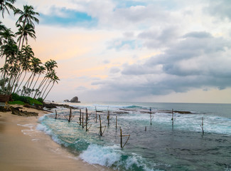 Fototapeta na wymiar beach with palm trees in Sri Lanka