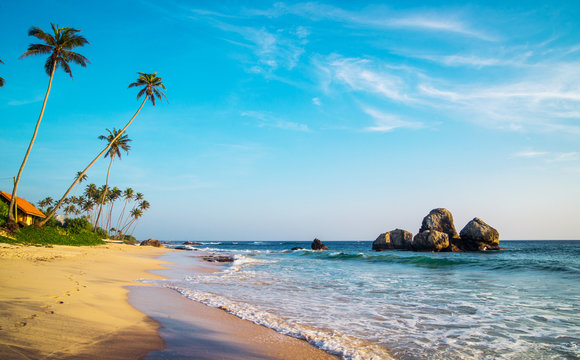 wild beautiful beaches of Sri Lanka