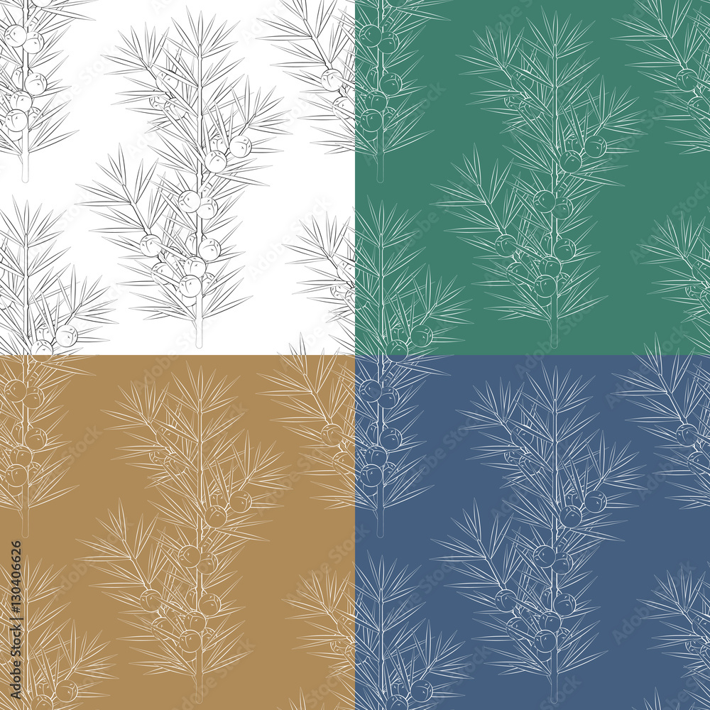 Aufkleber set of seamless patterns with juniper branches. vector backgrounds.