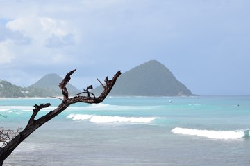 Traumhafter Blick auf sanfte Wellen und Hügel auf Tortola, Britische Jungferninseln, Karibik