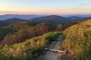Hiking trail in Shenandoah National Park