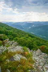 View from Raven's Roost Overlook