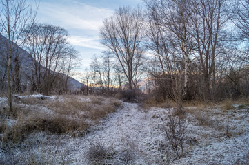 Naklejka na ściany i meble park, forest with frost, winter landscape