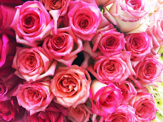 A bouquet of pink roses and white son of a sunny afternoon