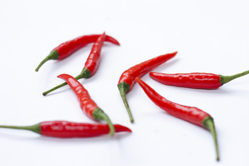 Red chili pepper isolated on white background