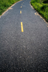 Fototapeta premium Road in the park