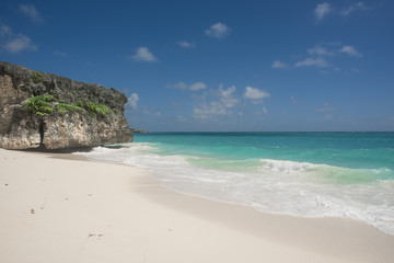 Fototapeta premium barbados beach