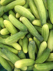  Giant statue of the monk