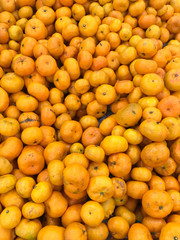  Giant statue of the monk