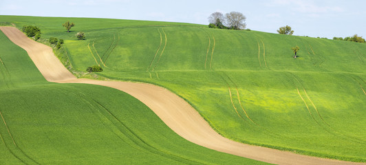 brown lines in agriculture fields