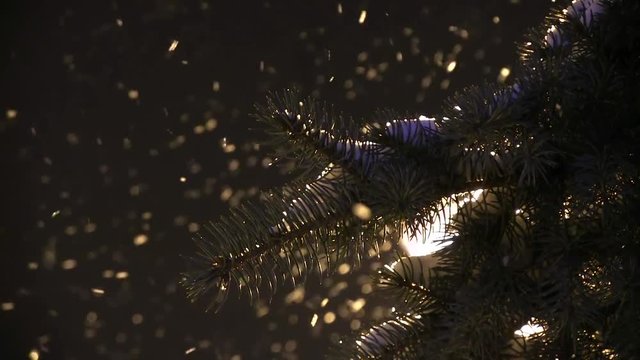 Snow Falls From A Dark Winter Sky On A Snowcapped Fir Tree. A City Lamp Background. Christmas spirit
