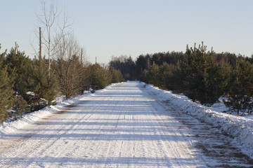 winter rural road