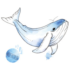 Vector illustration of watercolor whale