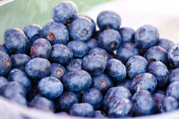 Close up image of blueberries in a plastic cup