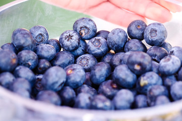 Close up image of blueberries in a plastic cup