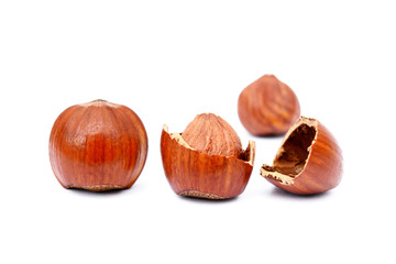 Group healty hazelnuts isolated on white background