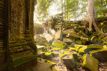 Ancient Ta Prohm Temple in the morning sun rays, Angkor, Cambodia. Ruin