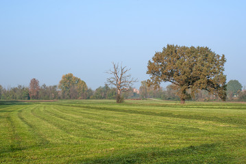 Obraz premium paesaggio di campagna