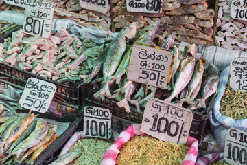 Dried Fishes In Sri Lanka Fish Market
