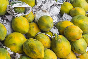 Fresh organic ripe papayas at a farmer's market in Kandy, Sri La