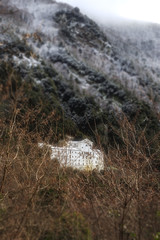 old abandoned monastery in the forest