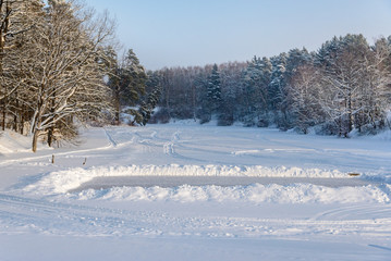Tilted fir tree on the shore of a frozen pond