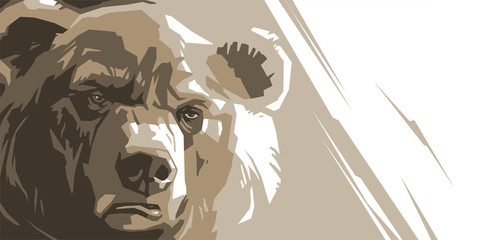Angry brown bear - 130421867