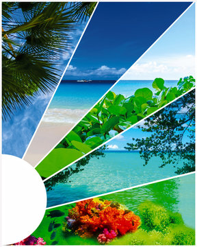 Collage of summer beach images - nature and travel background