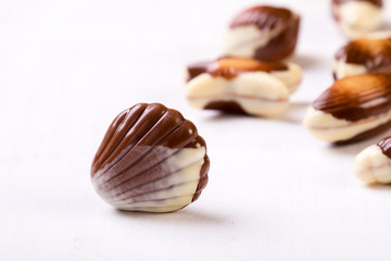chocolate seashell on white table