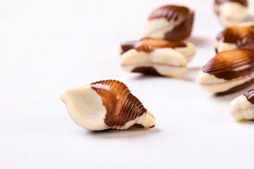 chocolate seashell on white table