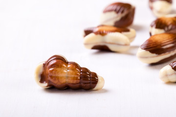 chocolate seashell on white table