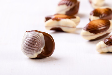 chocolate seashell on white table