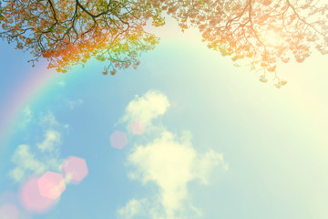 Obraz na płótnie Canvas Japanese cherry flower and rainbow in blue sky with cloud. Beaut