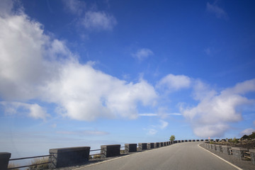 Fototapeta premium porcelain doll sitting in glass cabinet