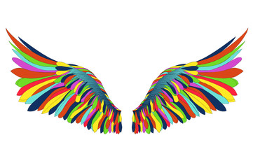 Wings. Vector illustration on white background. Colorful rainbow