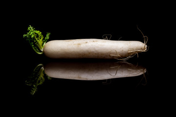 Whole white radish isolated on black background