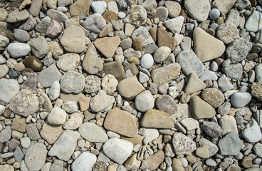 River stone filling the frame, smooth stones flattened by water