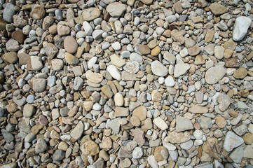 River stone filling the frame, smooth stones flattened by water
