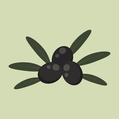 Flat icon black olives. Olive tree. Vector illustration.