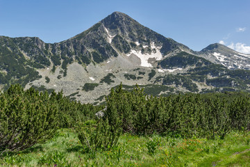 Amazing Landscape with Sivrya peak, Pirin Mountain, Bulgaria