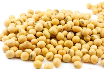 Yellow Soybean on white background