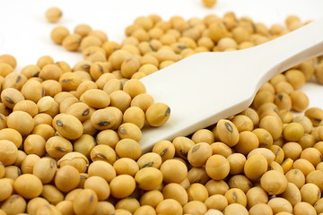 Small soybean with spatula on white background