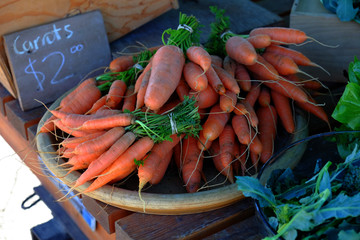 Farmer's Market Fresh Carrots for Sale