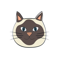 Cute cat cartoon icon vector illustration graphic design