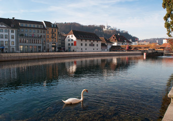 Svizzera, 08/12/2016: un cigno nelle acque limpide del fiume Reuss e lo skyline di Lucerna, la...
