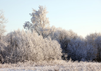 Winter landscape. Russia, Tver region.