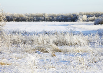 Winter landscape. Russia, Tver region.